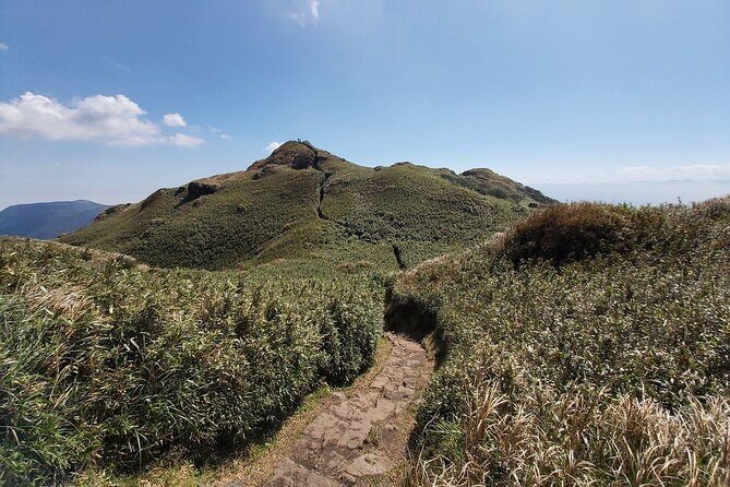 Private Yangmingshan Hiking Day Tour from Taipei - An In-Depth Look at the Yangmingshan Hiking Tour