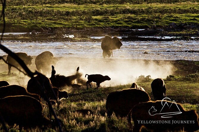 private-yellowstone-journey-from-gardiner-mt