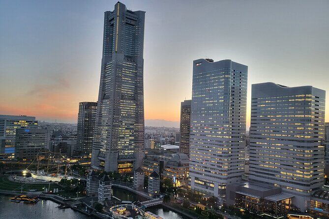 Private Yokohama and Tokyo City Car Tour - Who Should Consider This Tour?