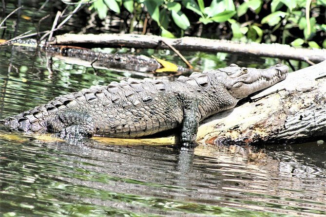 private-ys-falls-and-black-river-safari-from-runaway-bay