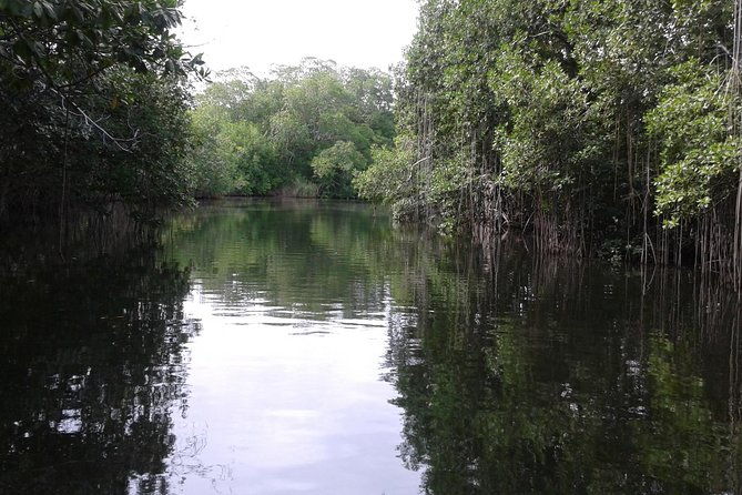 private-ys-falls-and-black-river-safari-from-runaway-bay