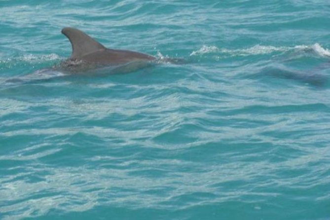private-ys-falls-black-river-pelican-bar-entrance-lunch