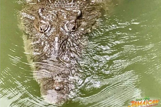 private-ys-falls-black-river-pelican-bar-entrance-lunch