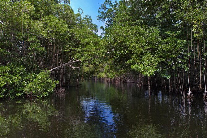 private-ys-falls-black-river-pelican-bar-entrance-lunch
