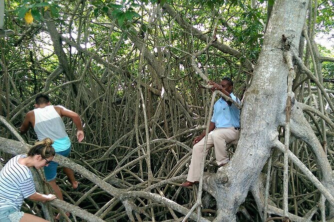private-ys-falls-black-river-pelican-bar-entrance-lunch