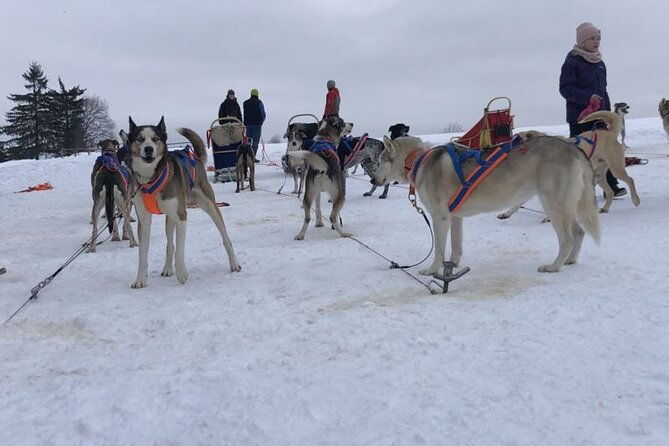 private-zakopane-and-thermal-pools-tour-from-krakow