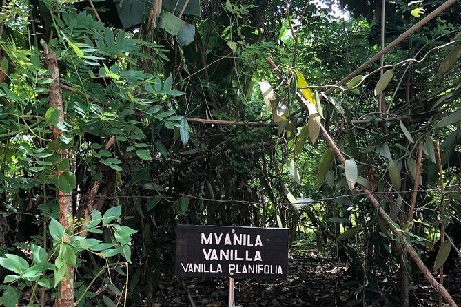 Private Zanzibar Spice Farm Tour - FAQ