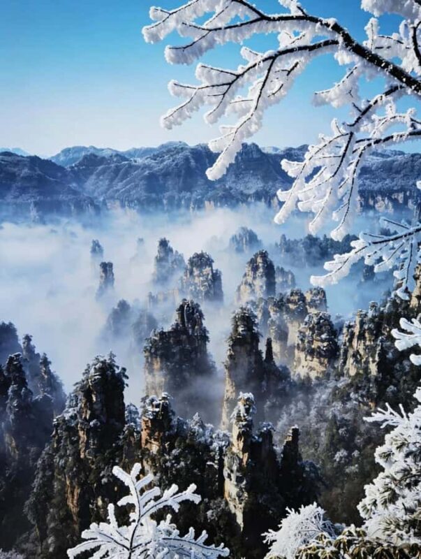 Private Zhangjiajie: Glass Bridge, Terraces & Avatar - Key Points