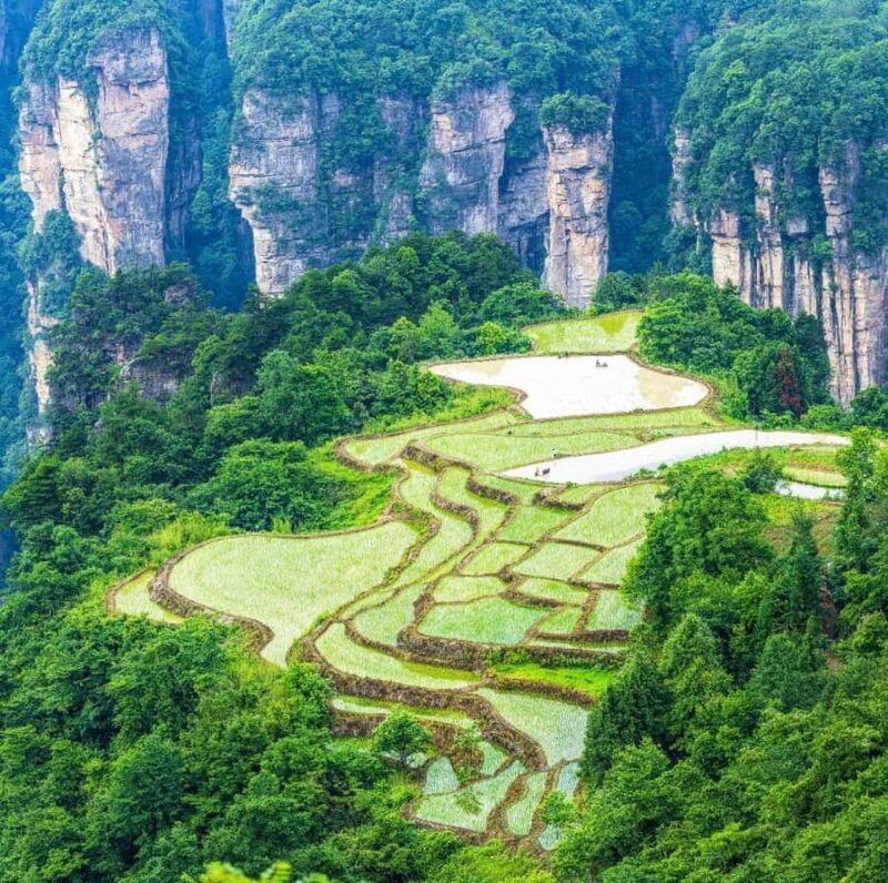 Private Zhangjiajie: Glass Bridge, Terraces & Avatar - A Closer Look at the Experience