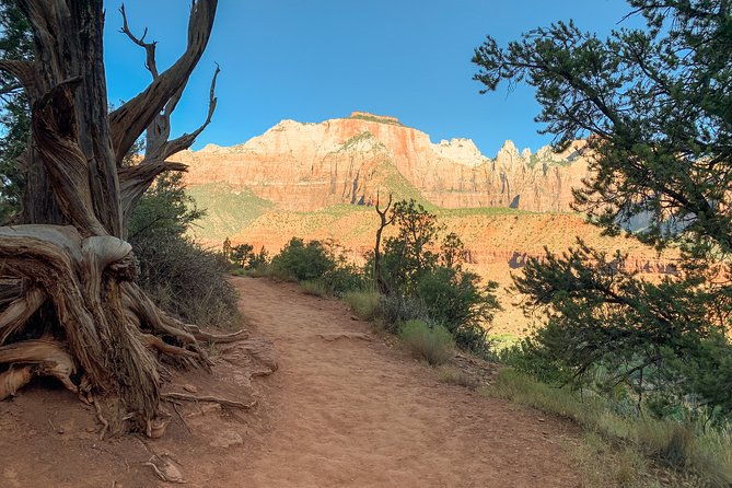 private-zion-canyon-national-park-day-tour-from-las-vegas