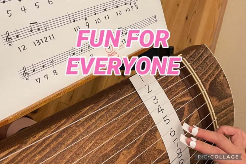 Privately visit local home for tea ceremony &music, Tokyo - Practical Details: What You Need to Know