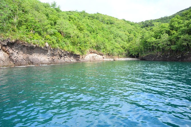 privatize-the-boat-for-half-a-day-with-family-friends