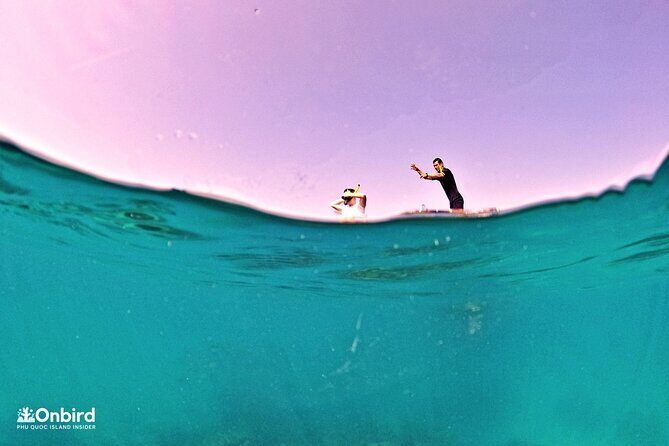 PRO-SNORKELING to Explore Hidden Coral Reefs (MAX 10 PAX) - Why This Tour Excels Based on Reviews