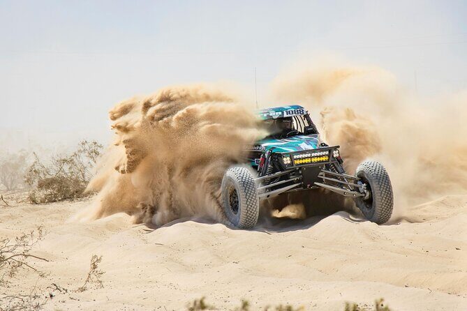 Professional Buggy Self Drive with Desert Safari and Camel Ride - Key Points