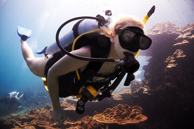 Professional Diver Two Stops Dives & Lunch, transferHurghada - Key Points