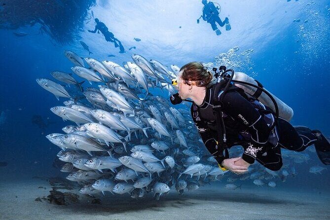Professional Diver Two Stops Dives & Lunch, transferHurghada - An In-Depth Look at the Hurghada Dive Tour