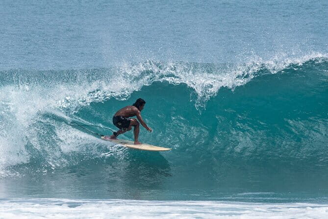 Professional Private Surf Lesson in Canggu Bali - Key Points