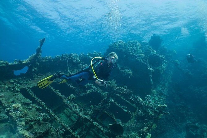Professional Scuba Diving Boat Trip With Lunch and Transfer  Hurghada - Final Thoughts