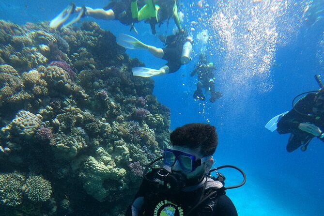 Professional Scuba Diving Trip in Hurghada with Lunch - Key Points