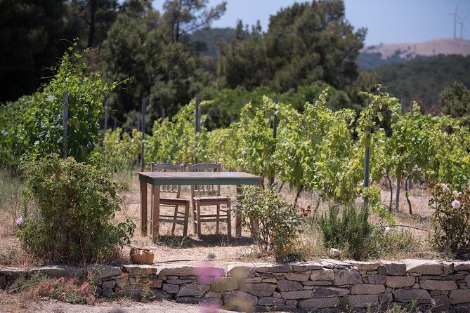 professional-tour-with-winemaker-in-ikaria