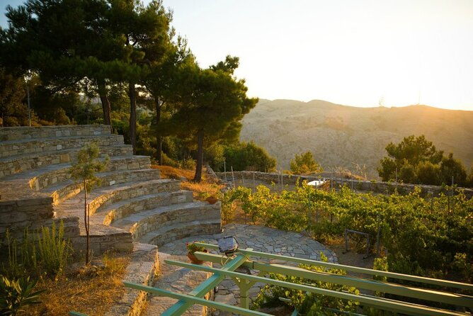 professional-tour-with-winemaker-in-ikaria