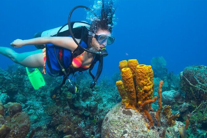 Professionals Scuba Diving 2 Stops Full Day Sea Trip - Hurghada - The Itinerary Breakdown: What to Expect