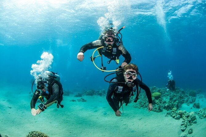Professionals Scuba Diving 2 Stops Full Day Sea Trip - Hurghada - What We Loved About This Tour