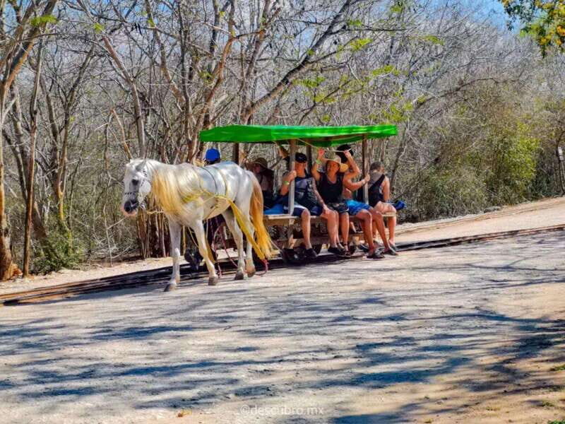 Progress: Excursion to the Santa Barbara Homun cenotes - What’s Included and What to Bring