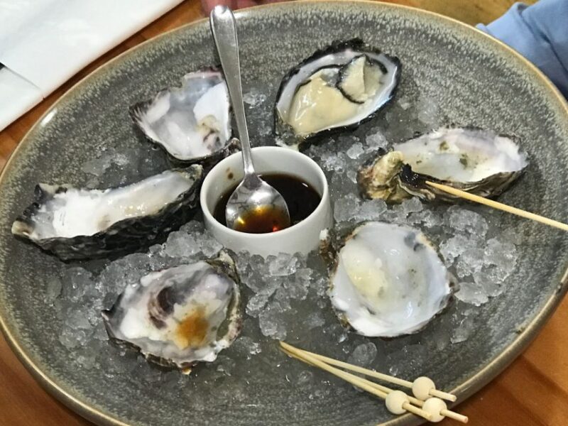 Progressive Wine & Gourmet Trail from Blenheim or Picton - Who is this tour best suited for?