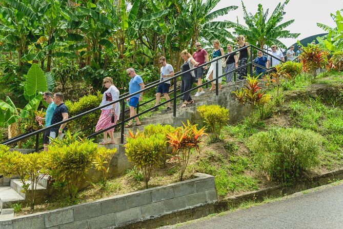 project-chocolat-tree-to-bar-tour-at-hotel-chocolat-saint-lucia