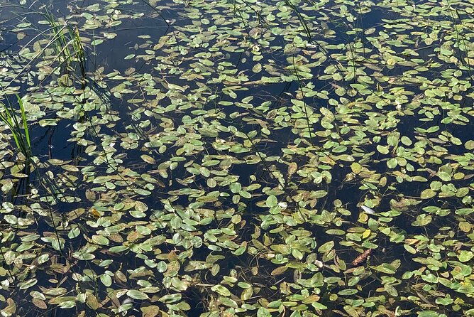 prokosko-lake-a-day-tour-to-the-forgotten-village-from-sarajevo