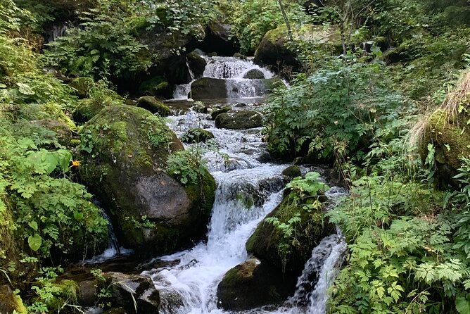 prokosko-lake-a-day-tour-to-the-forgotten-village-from-sarajevo