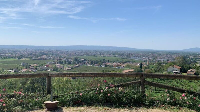 prosecco-hills-private-tour-all-inclusive-2-winerieslunch