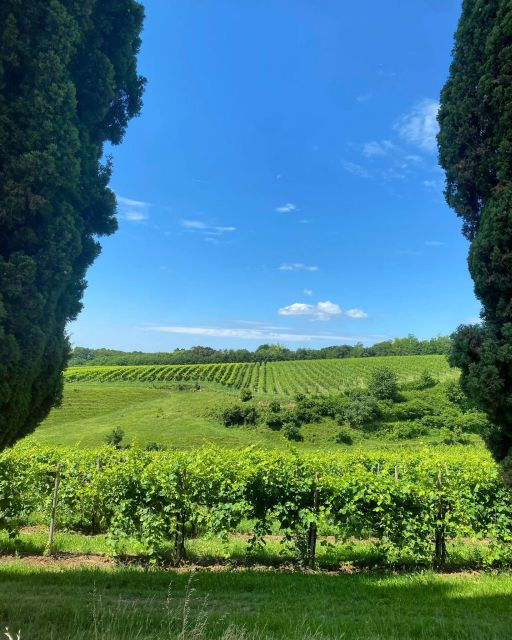 prosecco-hills-private-tour-all-inclusive-2-winerieslunch