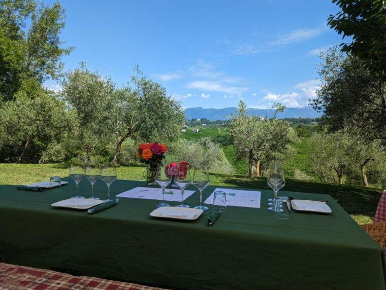 prosecco-hills-private-tour-all-inclusive-2-winerieslunch