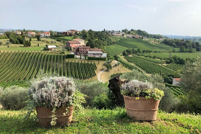 prosecco-hills-wine-and-cheese-gourmet-discovery-by-yellowboot