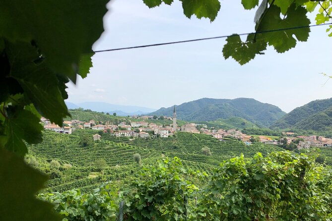 prosecco-hills-wine-and-cheese-gourmet-discovery-by-yellowboot