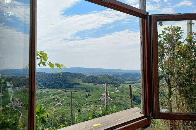 Prosecco hills wine and food tour from Venice and Treviso - Practical Details and Value