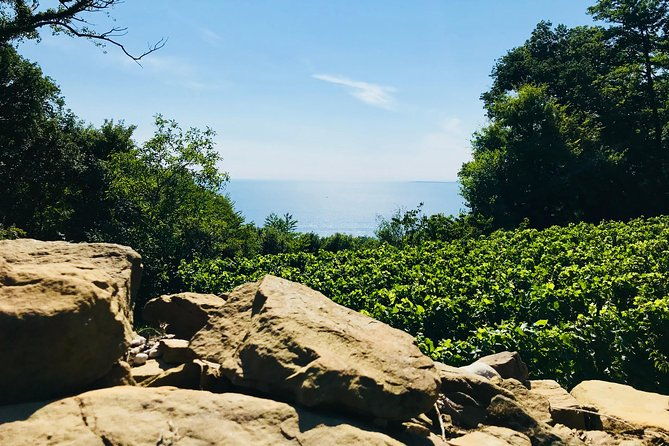 prosecco-origins-wine-experience