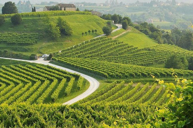 prosecco-tour-and-tasting-from-venice