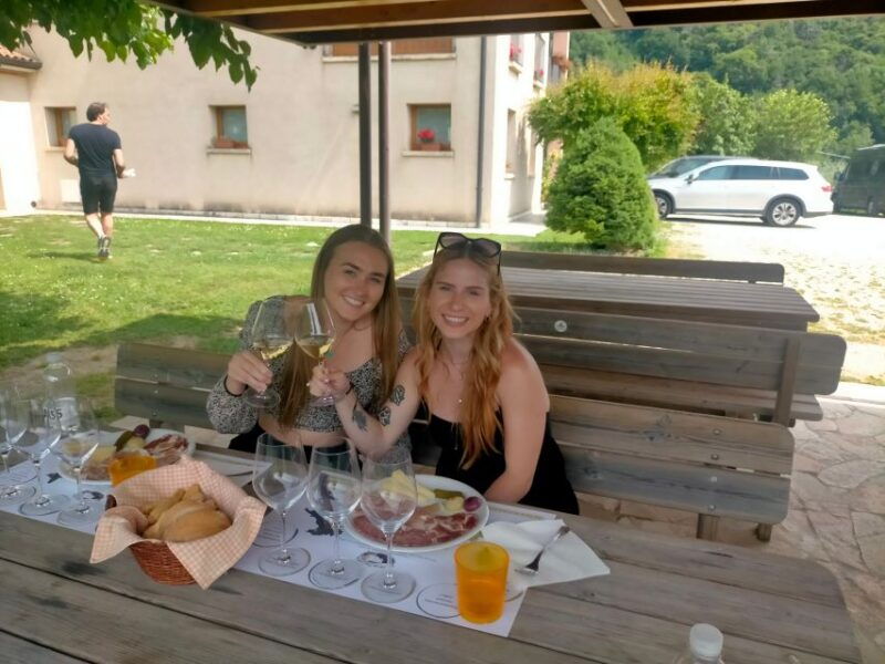 prosecco-wine-tasting-tour-half-day-from-venice