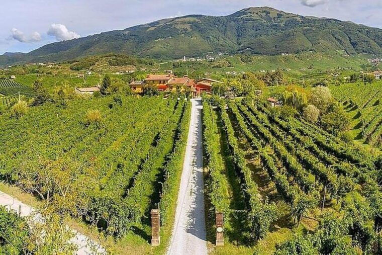 prosecco-wine-tasting-tour-half-day-from-venice