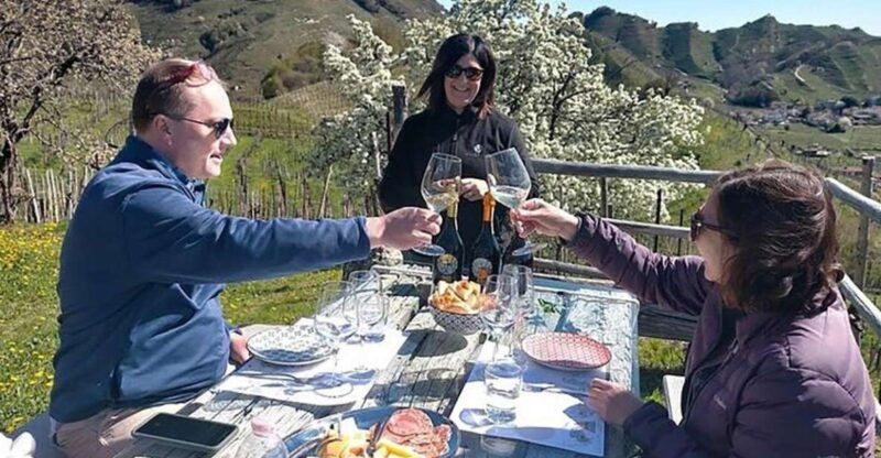 prosecco-wine-tour-full-day-2-wineries-from-venice