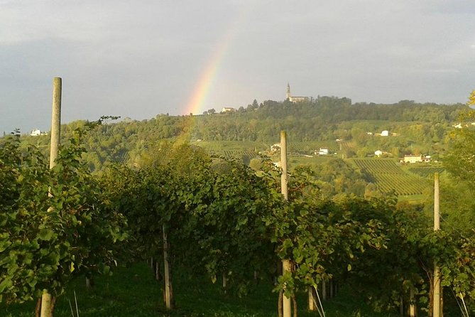 prosecco-wine-tour-full-day-from-venice-2