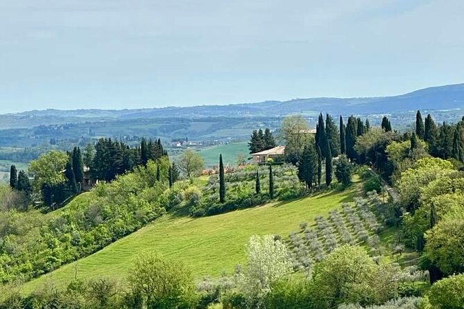 prosecco-wine-tour-full-day-from-venice-2