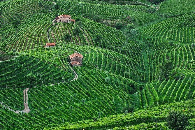 prosecco-wine-tour-full-day-from-venice