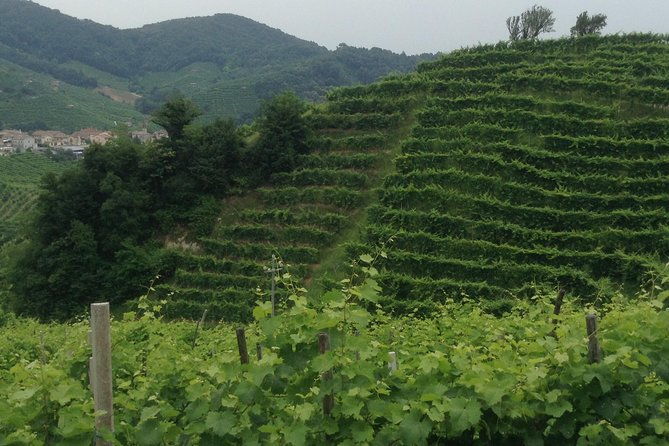 prosecco-wine-tour-with-tiramisu-from-venice