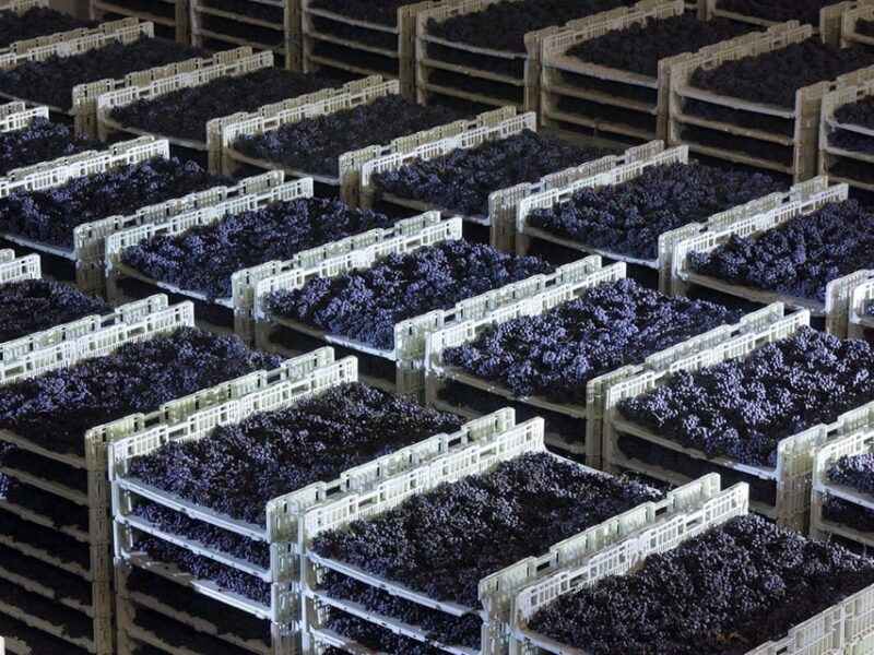 prosecco-winery-tasting-with-food-pairing-near-venice