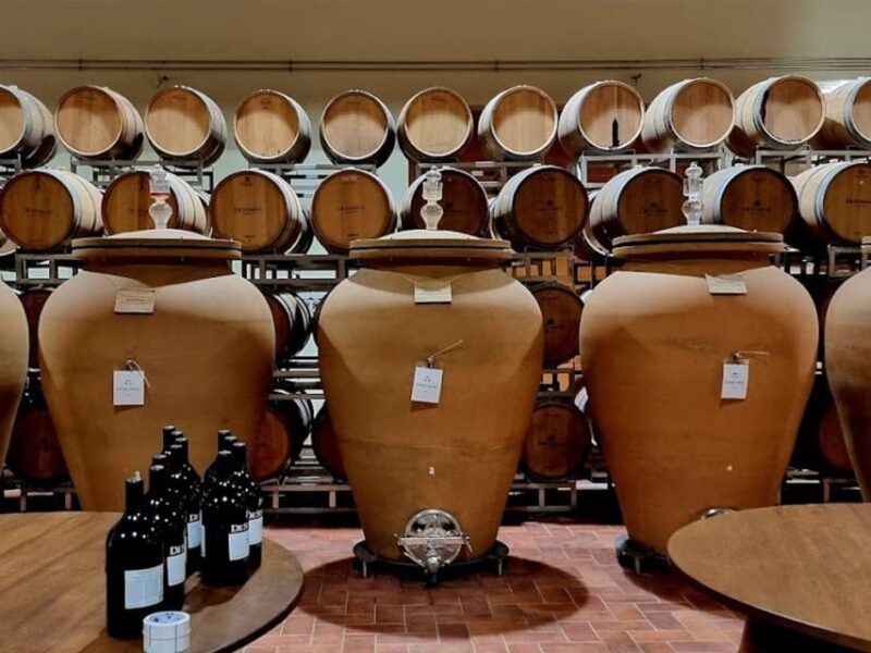 prosecco-winery-tasting-with-food-pairing-near-venice