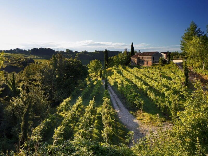 prosecco-winery-tasting-with-food-pairing-near-venice